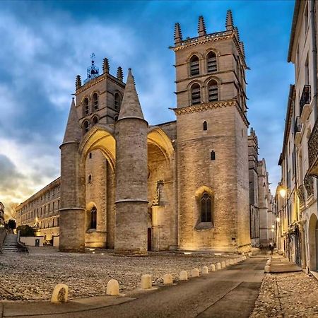 Studio Au Coeur Historique De Montpellier, 2 Personnes Et Wifi Exterior photo